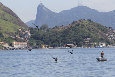 Niterói prestigia causa ambiental