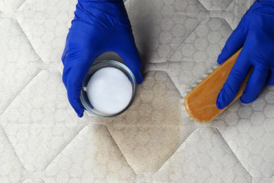 Coceira, espirro e alergia? O problema pode estar na sua casa!