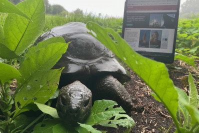 Morte da tartaruga de 193 anos foi pegadinha de 1º de abril