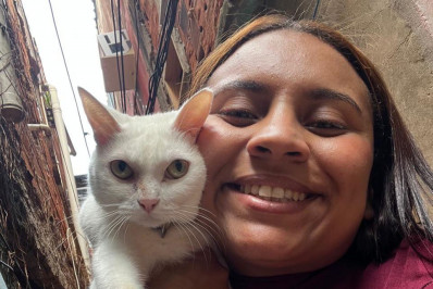 Clínicas veterinárias podem ser obrigadas a denunciar maus-tratos a animais no RJ