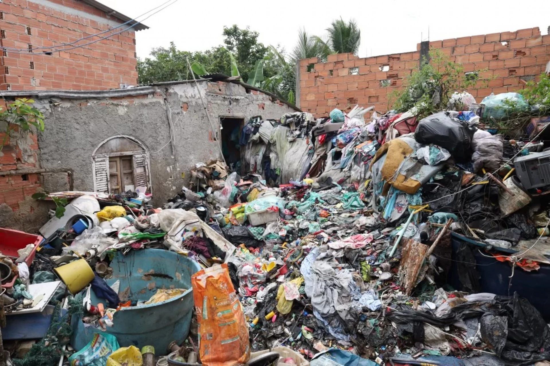 Operação mobiliza equipes para limpeza de residência em Cabo Frio. - Reprodução