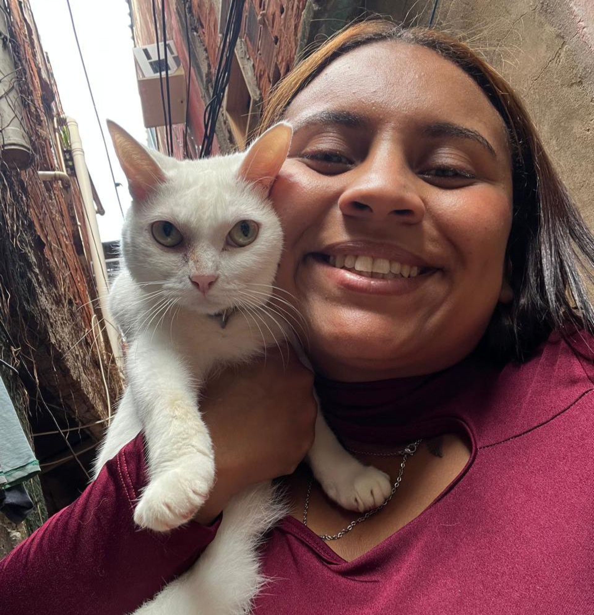 Clínicas veterinárias podem ser obrigadas a denunciar maus-tratos a animais no RJ