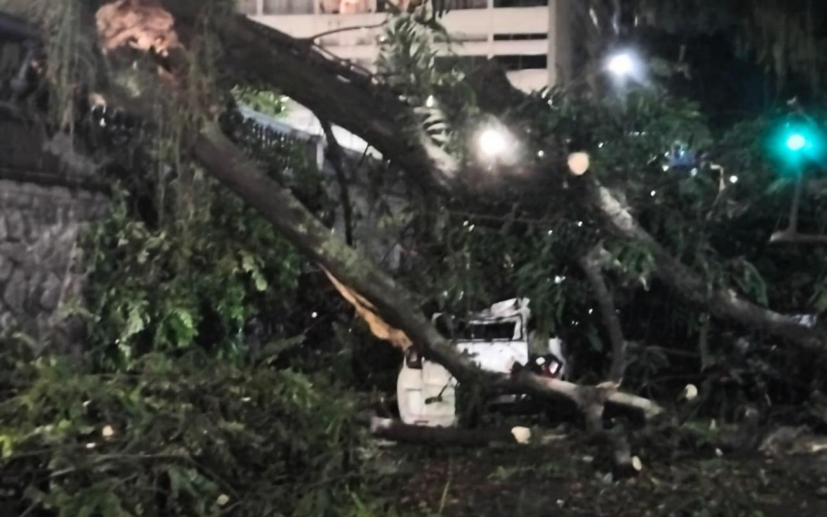 Árvore caiu sobre carro na Glória, na Zona Sul - Rede Social