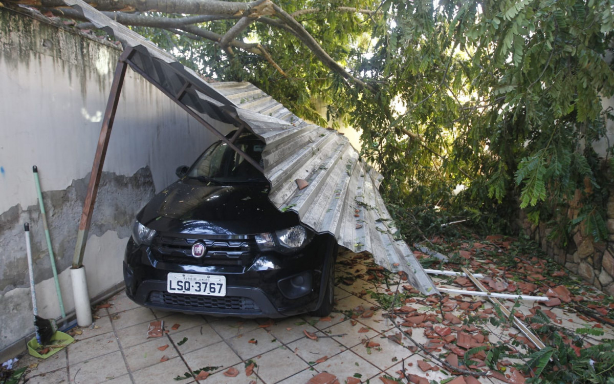 Carro de Márcio Brito, atingido por árvore