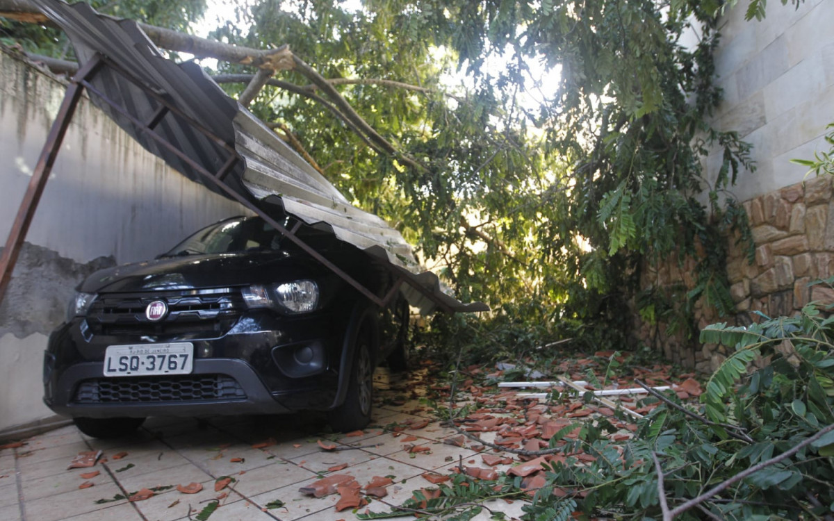 Árvore que caiu em cima de casa em Marechal Hermes