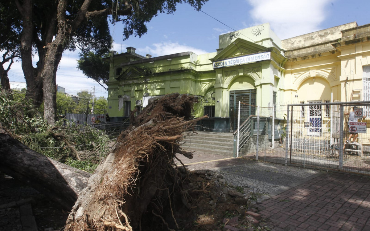 Árvore que caiu em cima de casa em Marechal Hermes