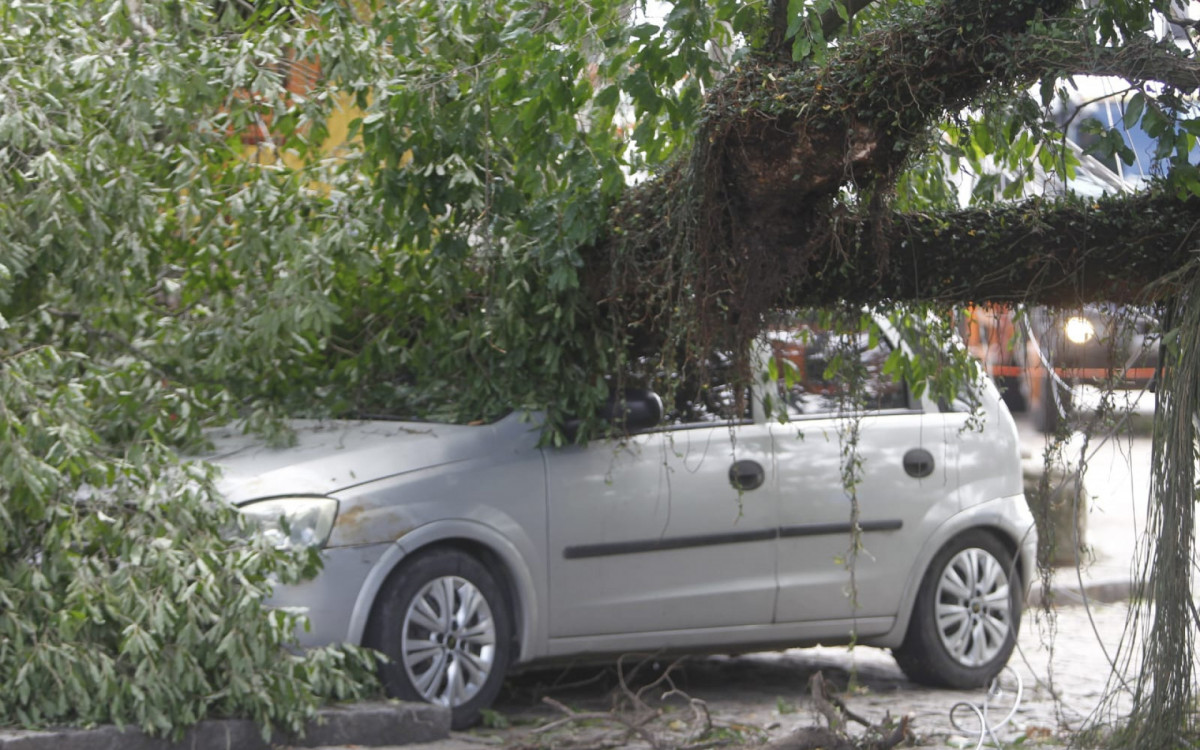 Motorista estava dentro do carro atingido por árvore na Praça Montese, em Marechal Hermes