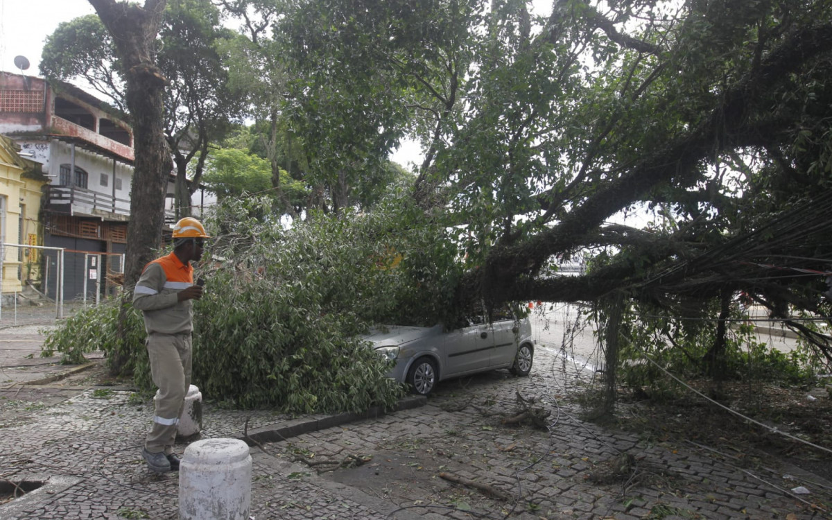 Motorista estava dentro do carro atingido por árvore na Praça Montese, em Marechal Hermes