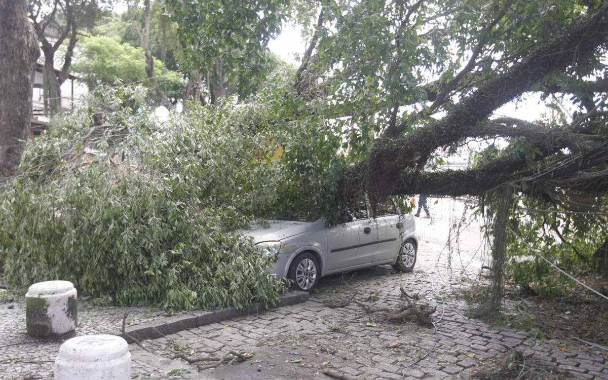 Motorista estava dentro do carro atingido por árvore na Praça Montese, em Marechal Hermes