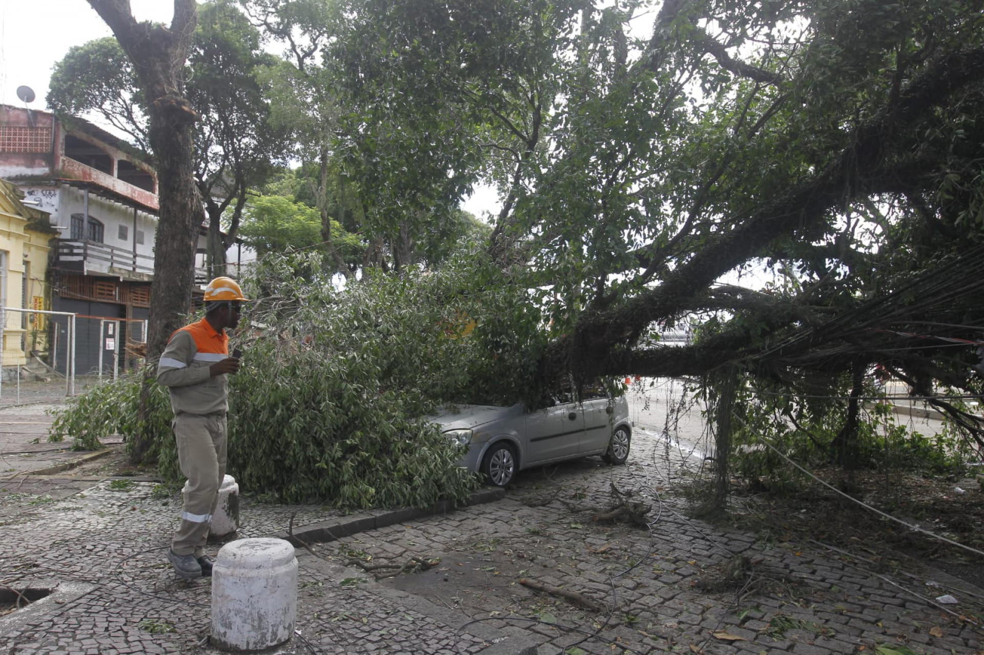 Motorista estava dentro do carro atingido por árvore na Praça Montese, em Marechal Hermes - Reginaldo Pimenta/Agência O DIA