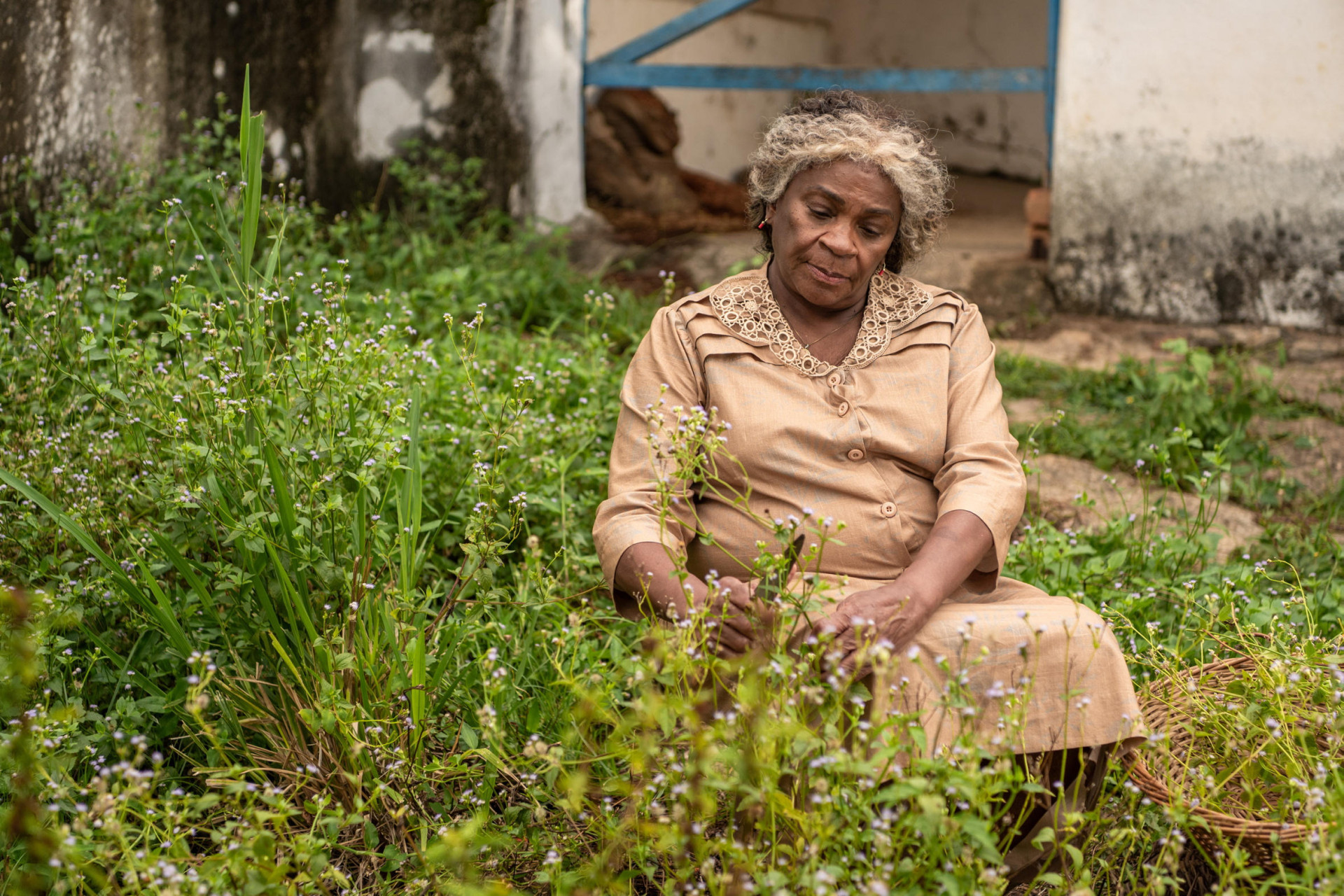 'A Nobreza do Amor': Dona Menina (Zezé Motta) explica que Aika/Lúcia (Duda Santos) e Tonho (Ronald Sotto) não são irmãos - TV Globo/ Estevam Avellar