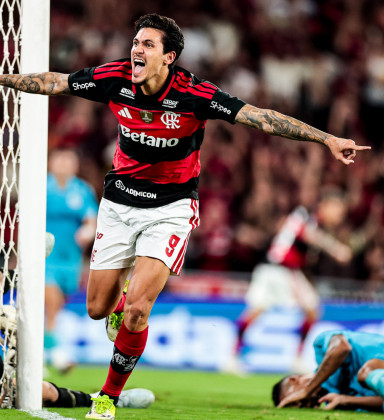 Pedro iguala marca histórica e Flamengo vence Santos de virada