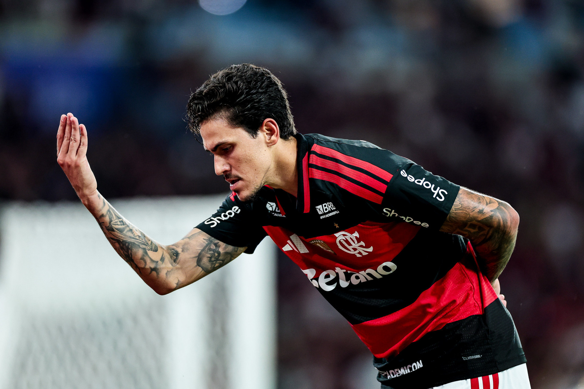 Pedro comemora 161º gol pelo Flamengo - Gilvan de Souza / Flamengo