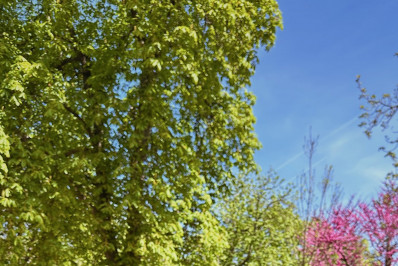 Filho de Fabio Assunção pede nutricionista em casamento 