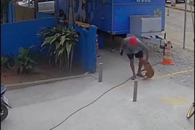 Homem é denunciado por agressão a cachorro em Búzios