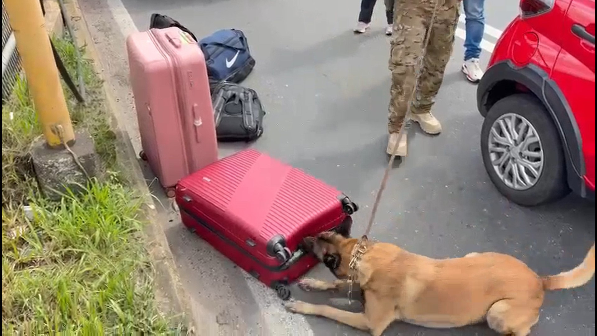 Também na Via Dutra, mulher viajava com quatro fuzis e uma pistola nas bagagens - Divulgação / PF