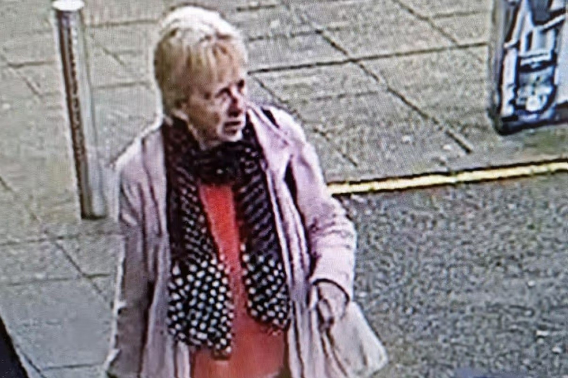 Polícia inicia caça para encontrar mulher que defecou em prateleira de loja