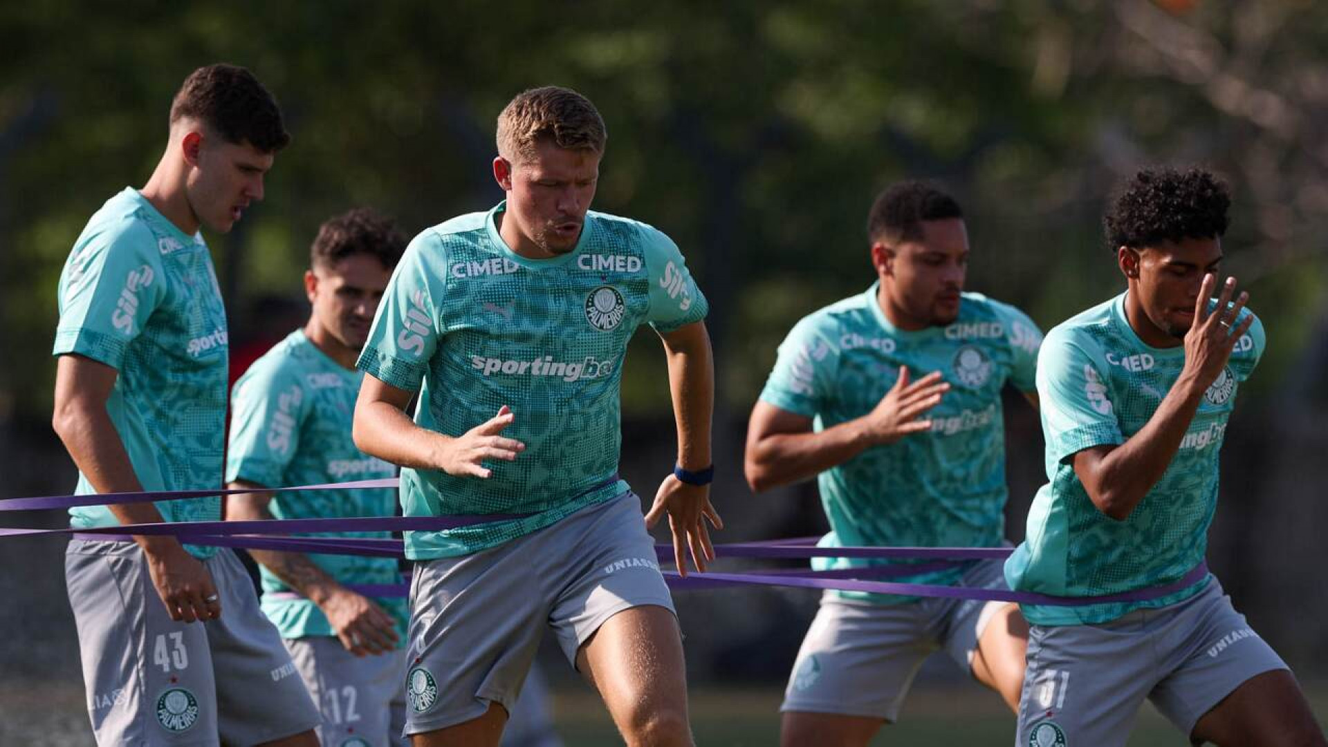 Paulinho faz primeiro treino integral no Palmeiras antes de estreia na Libertadores