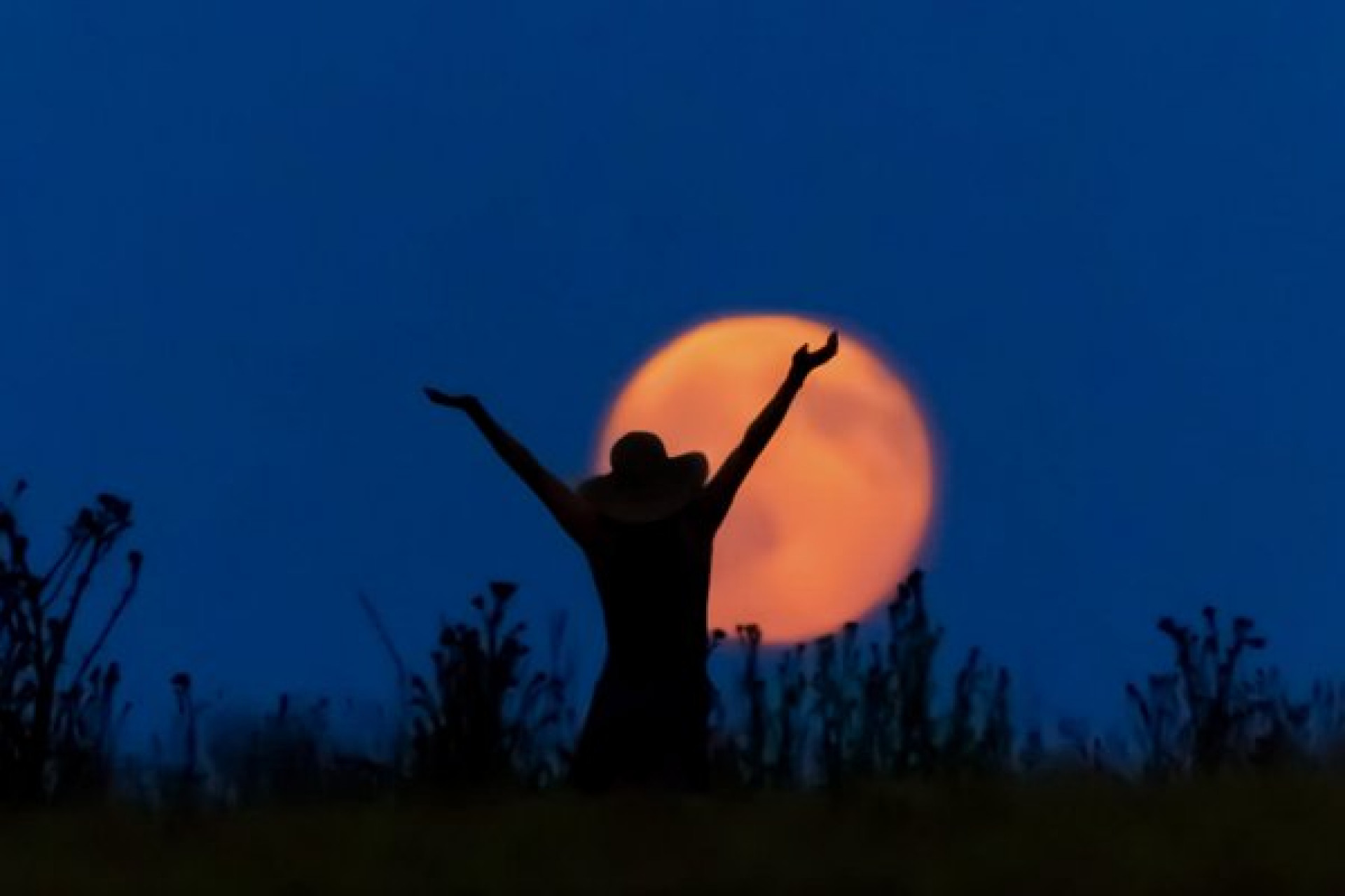 A Lua Cheia mais poderosa do ano &eacute; de P&aacute;scoa: saiba como usar essa energia a seu favor