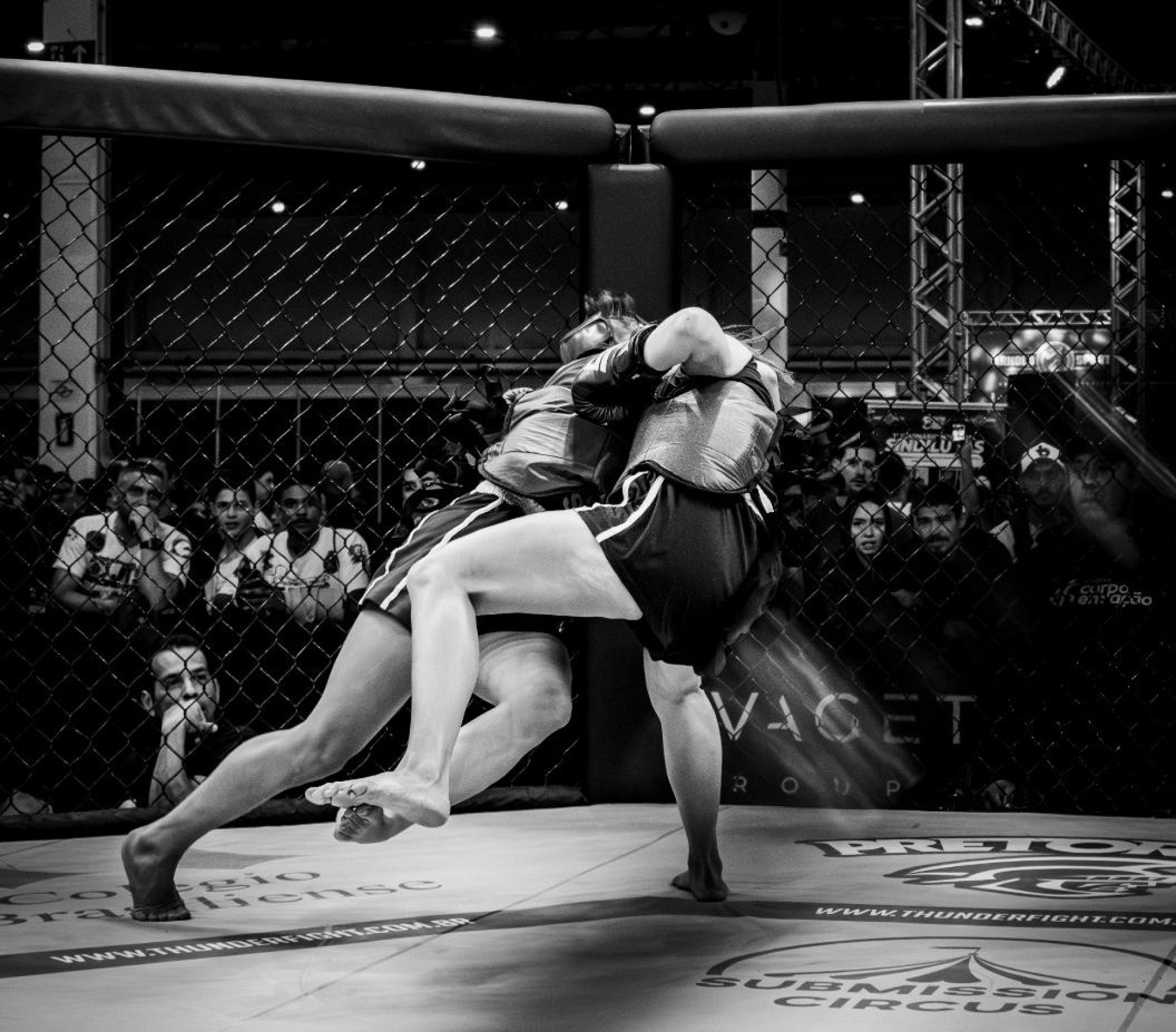 Wushu Sanda retorna ao Arnold Sports com cinturões, desafio sul-americano e ranking nacional