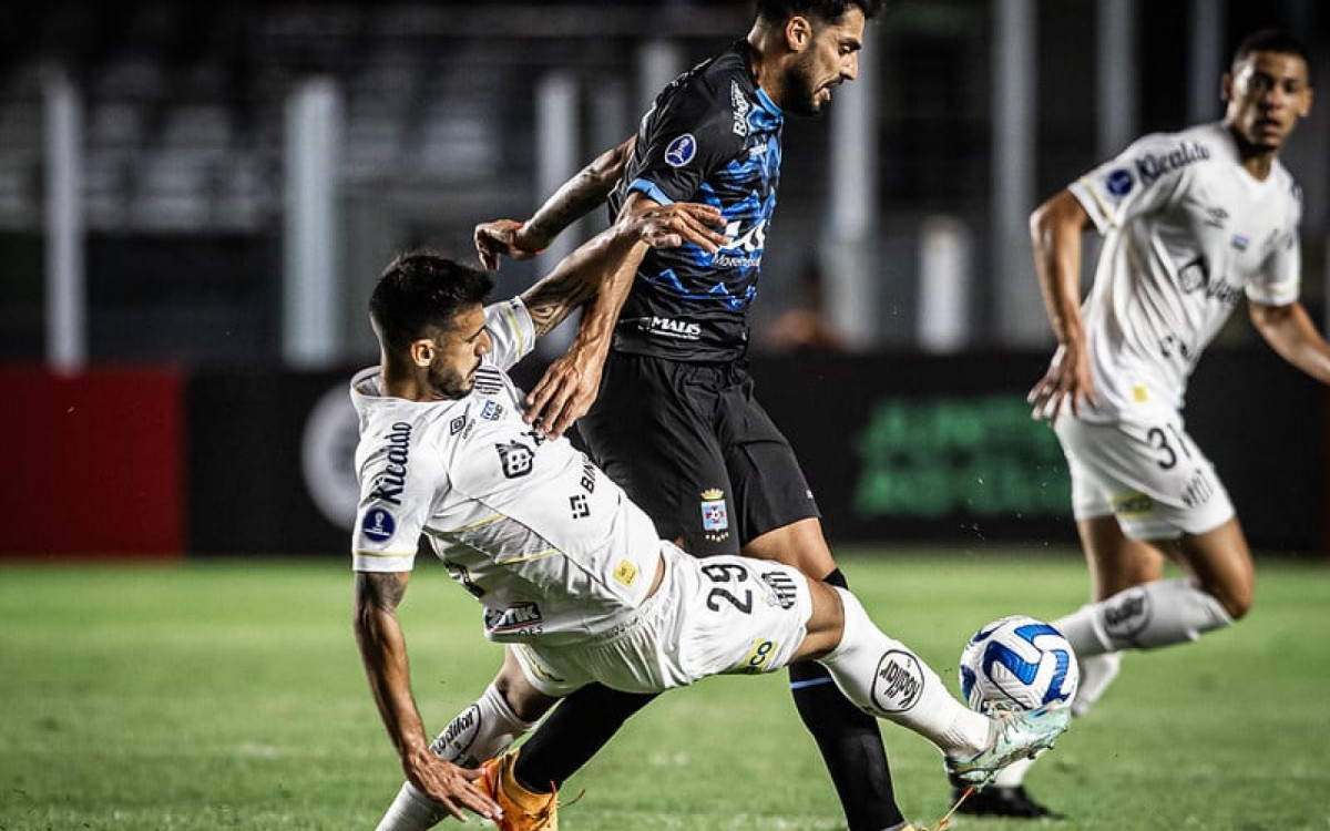 Santos estreia na Sul-Americana em busca de recome&ccedil;o ap&oacute;s campanhas frustrantes