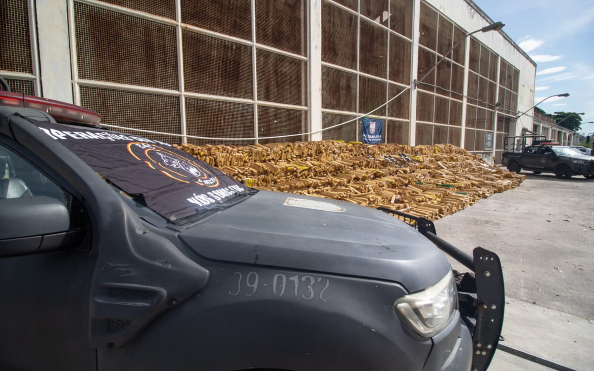 Cerca de 48 toneladas de maconha foram apreendidas pelo BAC na Mar&eacute;
