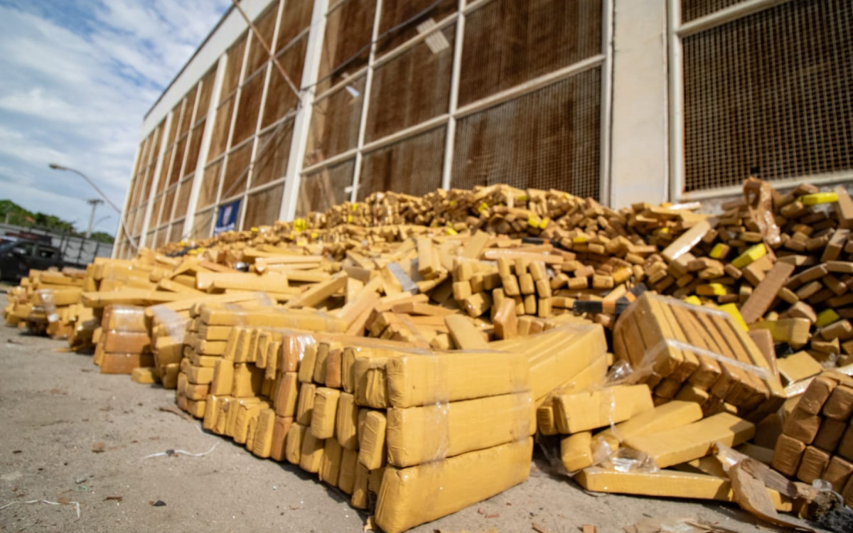 Cerca de 48 toneladas de maconha foram apreendidas pelo BAC na Mar&eacute;