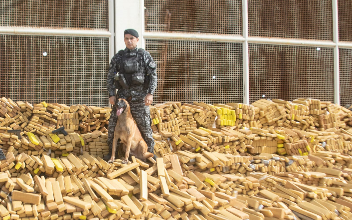Cerca de 48 toneladas de maconha foram apreendidas pelo BAC na Mar&eacute;