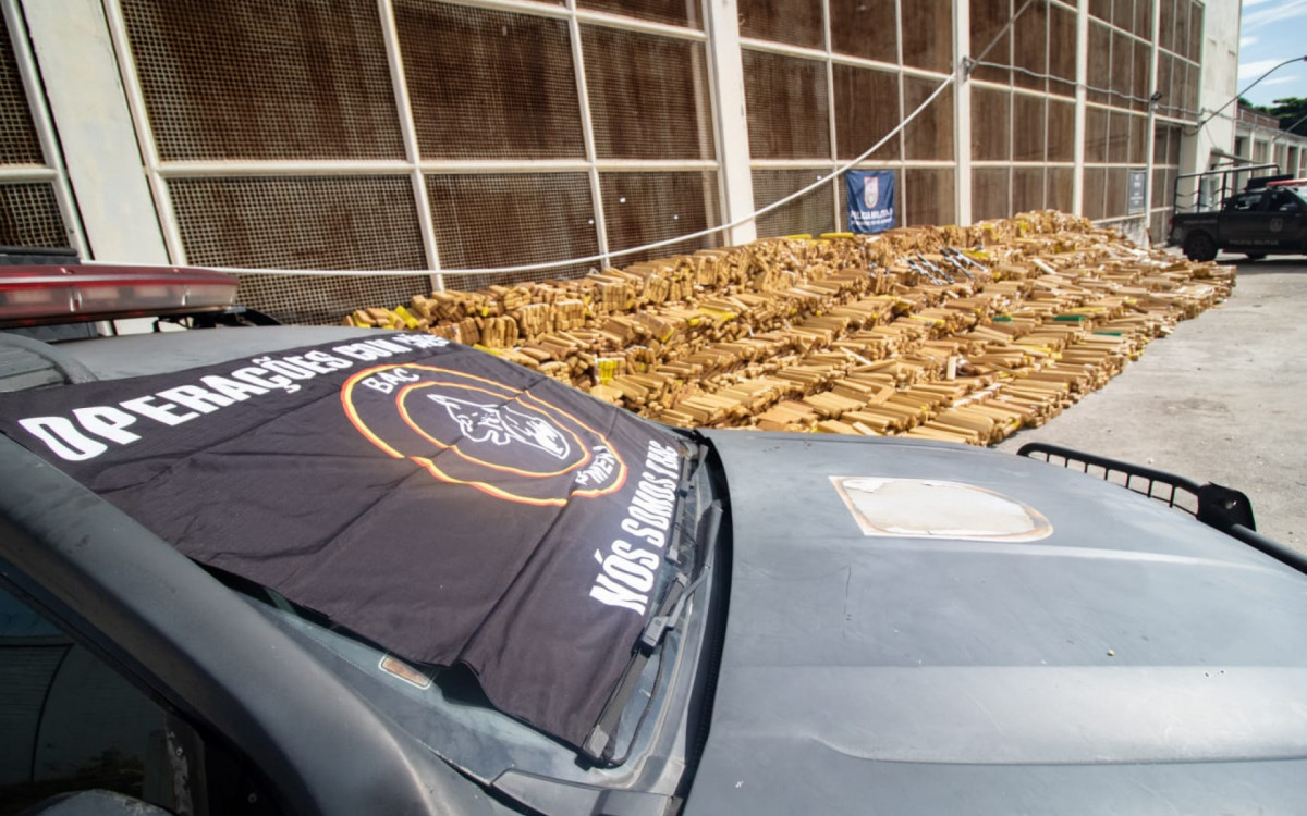 Cerca de 48 toneladas de maconha foram apreendidas pelo BAC na Mar&eacute;
