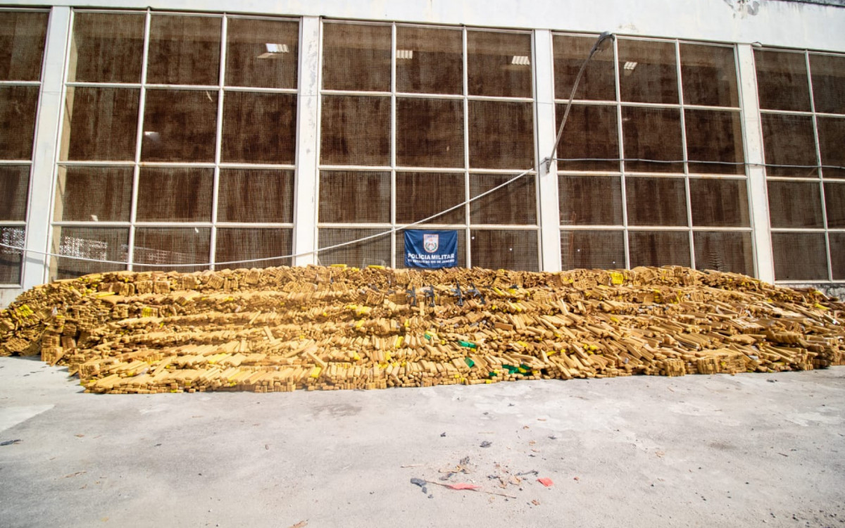 Cerca de 48 toneladas de maconha foram apreendidas pelo BAC na Mar&eacute;