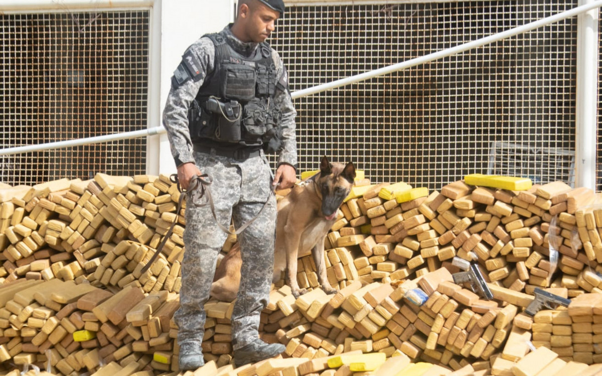 Cerca de 48 toneladas de maconha foram apreendidas pelo BAC na Mar&eacute;