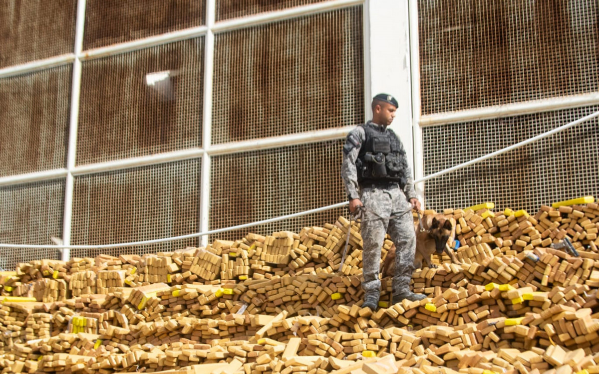 Cerca de 48 toneladas de maconha foram apreendidas pelo BAC na Mar&eacute;