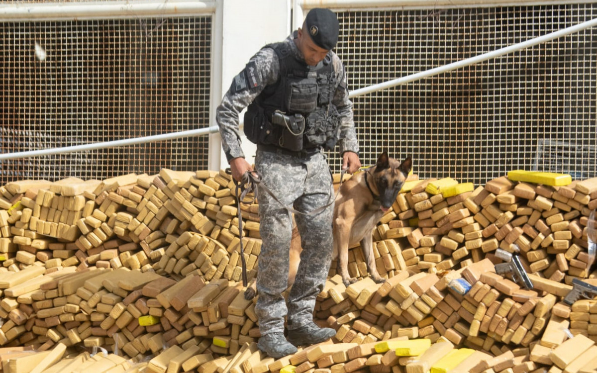 Cerca de 48 toneladas de maconha foram apreendidas pelo BAC na Mar&eacute;