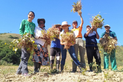 Festival mistura roça, música e tradição e movimenta assentamento em Casimiro