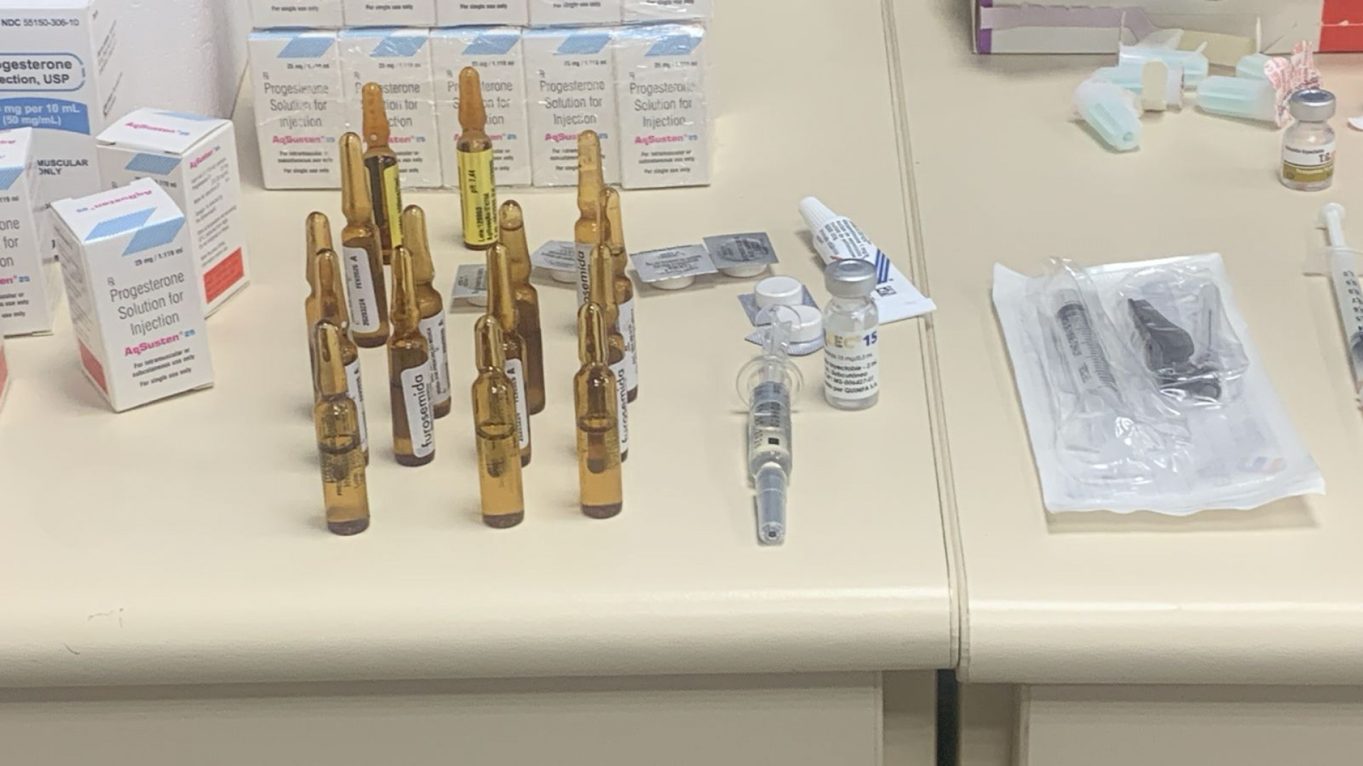 Materiais foram apreendidos por agentes da Decon - Reprodução