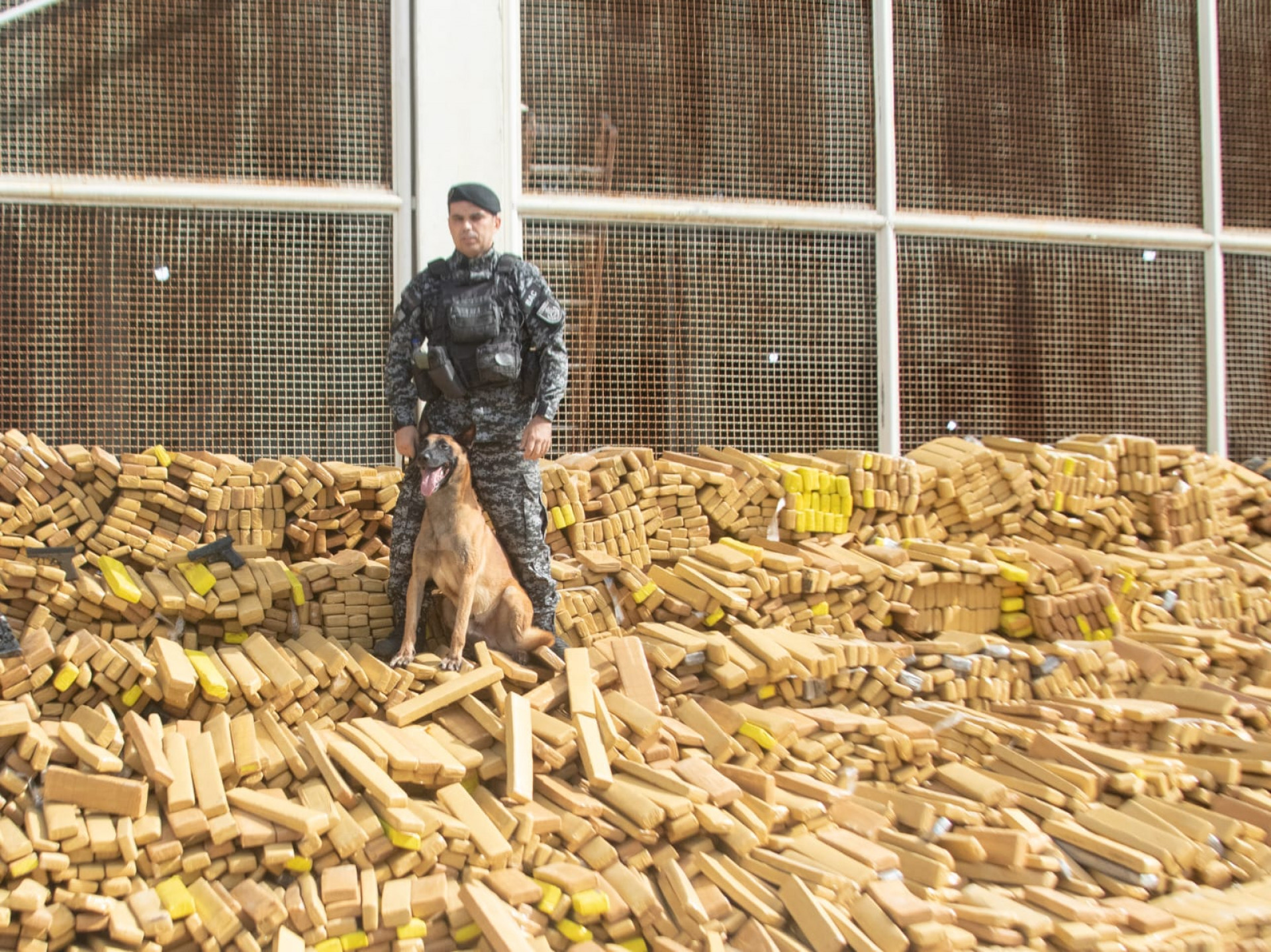 Cerca de 48 toneladas de maconha foram apreendidas pelo BAC na Maré - Érica Martin / Agência O Dia