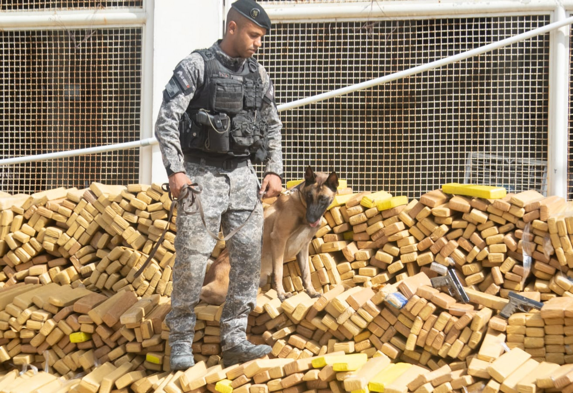 Cerca de 48 toneladas de maconha foram apreendidas pelo BAC na Maré - Érica Martin / Agência O Dia