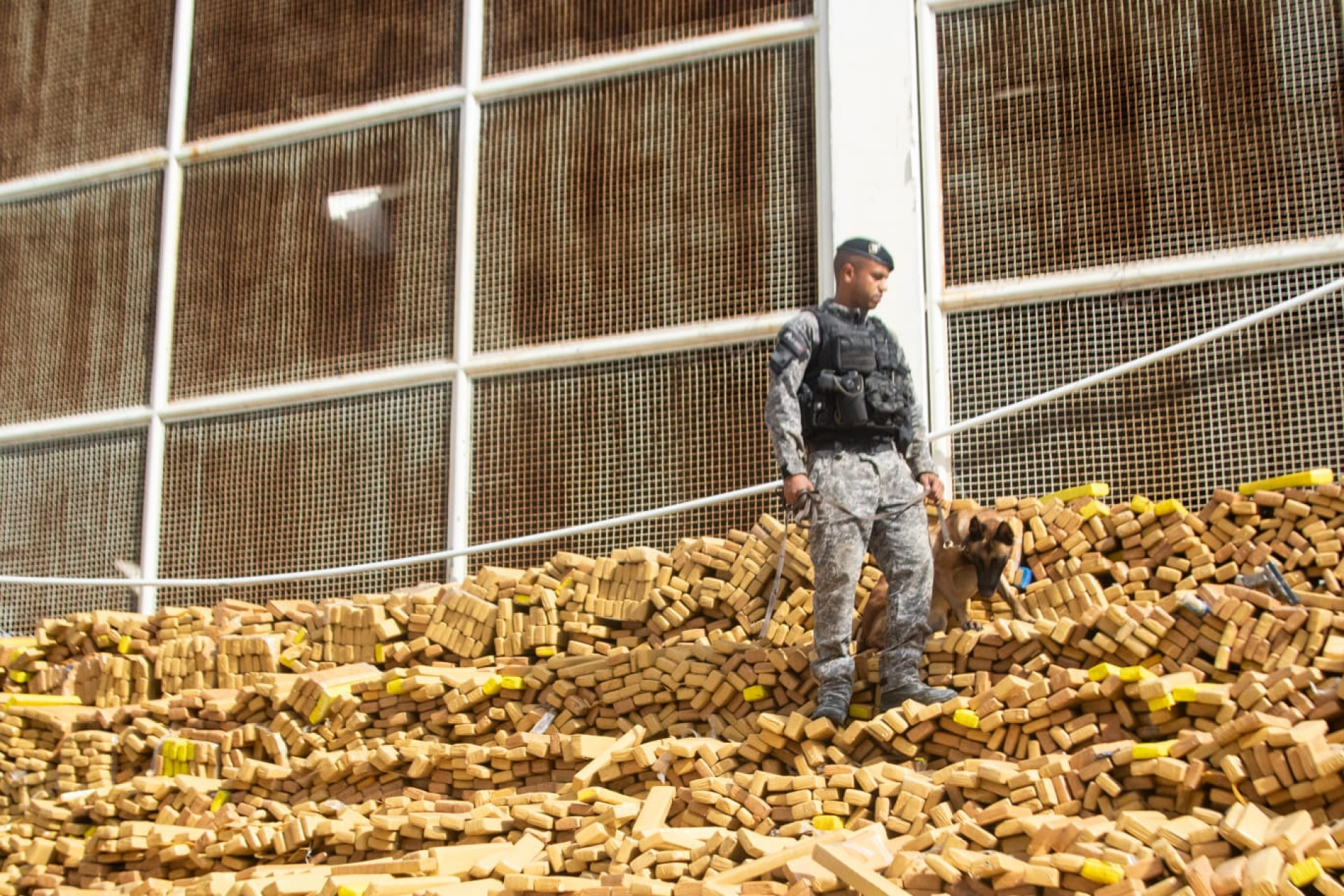 Cerca de 48 toneladas de maconha foram apreendidas pelo BAC na Maré - Érica Martin / Agência O Dia