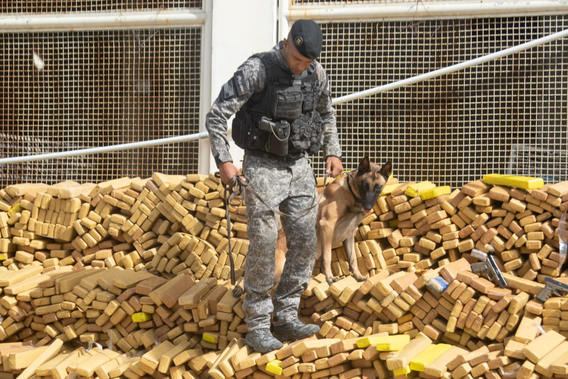 Cerca de 48 toneladas de maconha foram apreendidas pelo BAC na Maré - Érica Martin / Agência O Dia