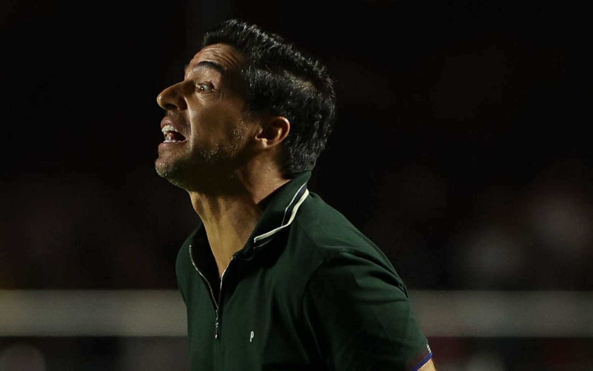 Abel Ferreira é suspenso por oito jogos por expulsões no Campeonato Brasileiro
