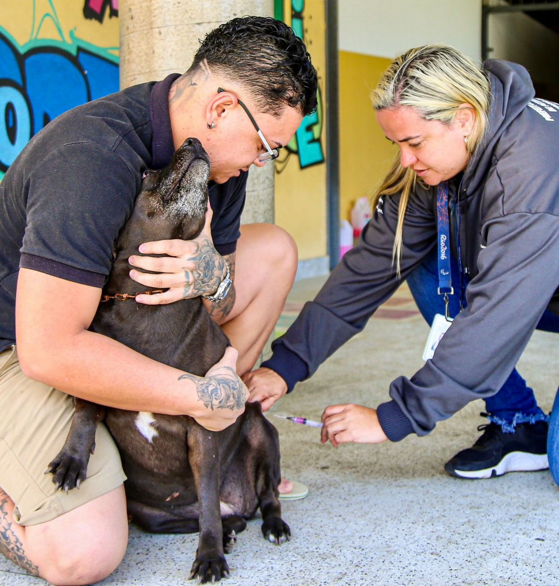 Primeira etapa da vacinação antirrábica acontece neste sábado em Petrópolis