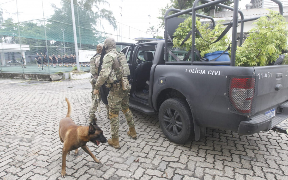 Cão Kriguer auxiliou a Core na localização da plantação de maconha