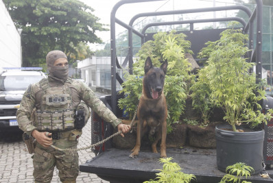 Operação conjunta mira facções aliadas que atuam em Realengo