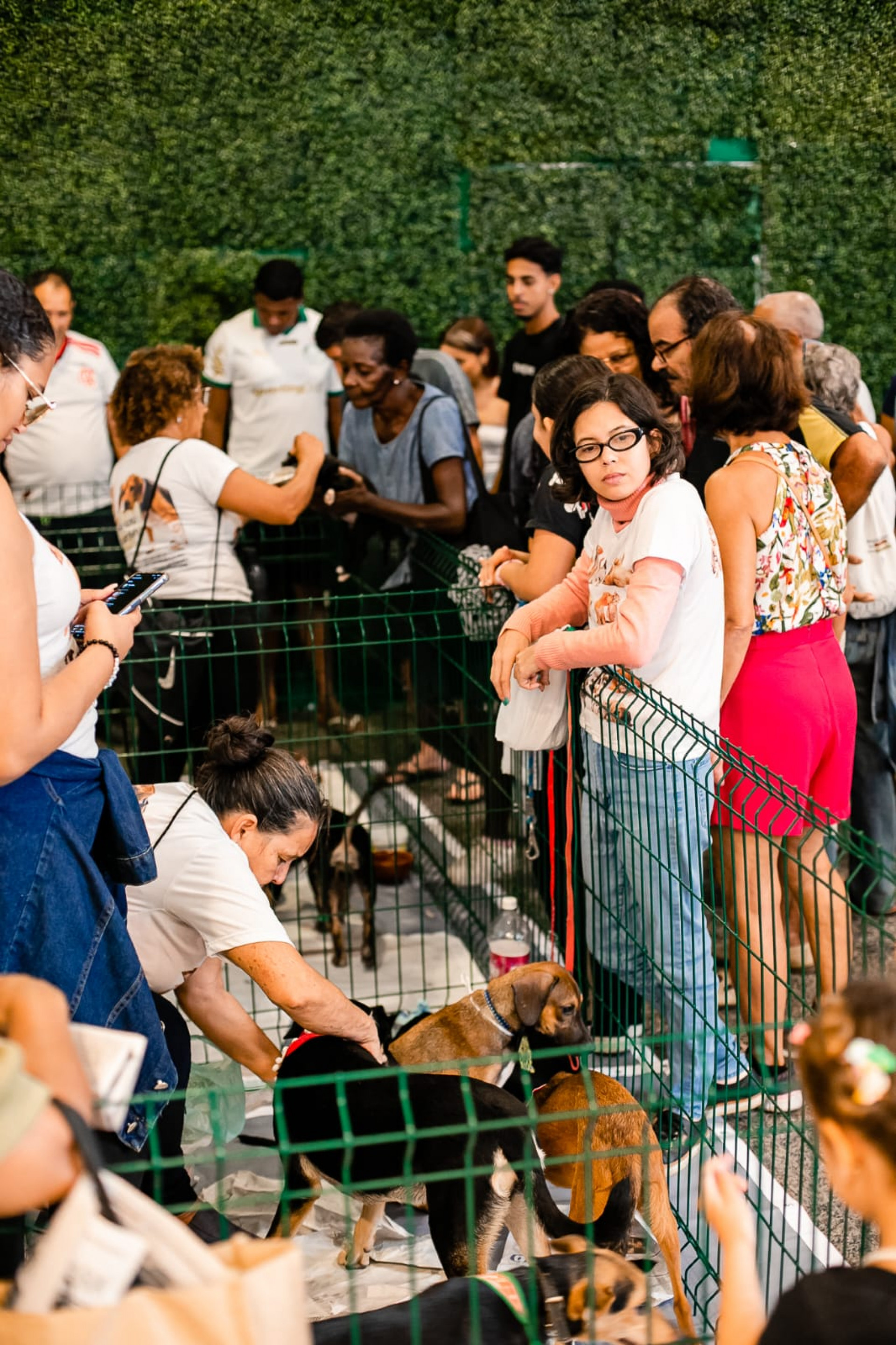 Desfile vai apresentar os animais de forma diferente - Divulgação