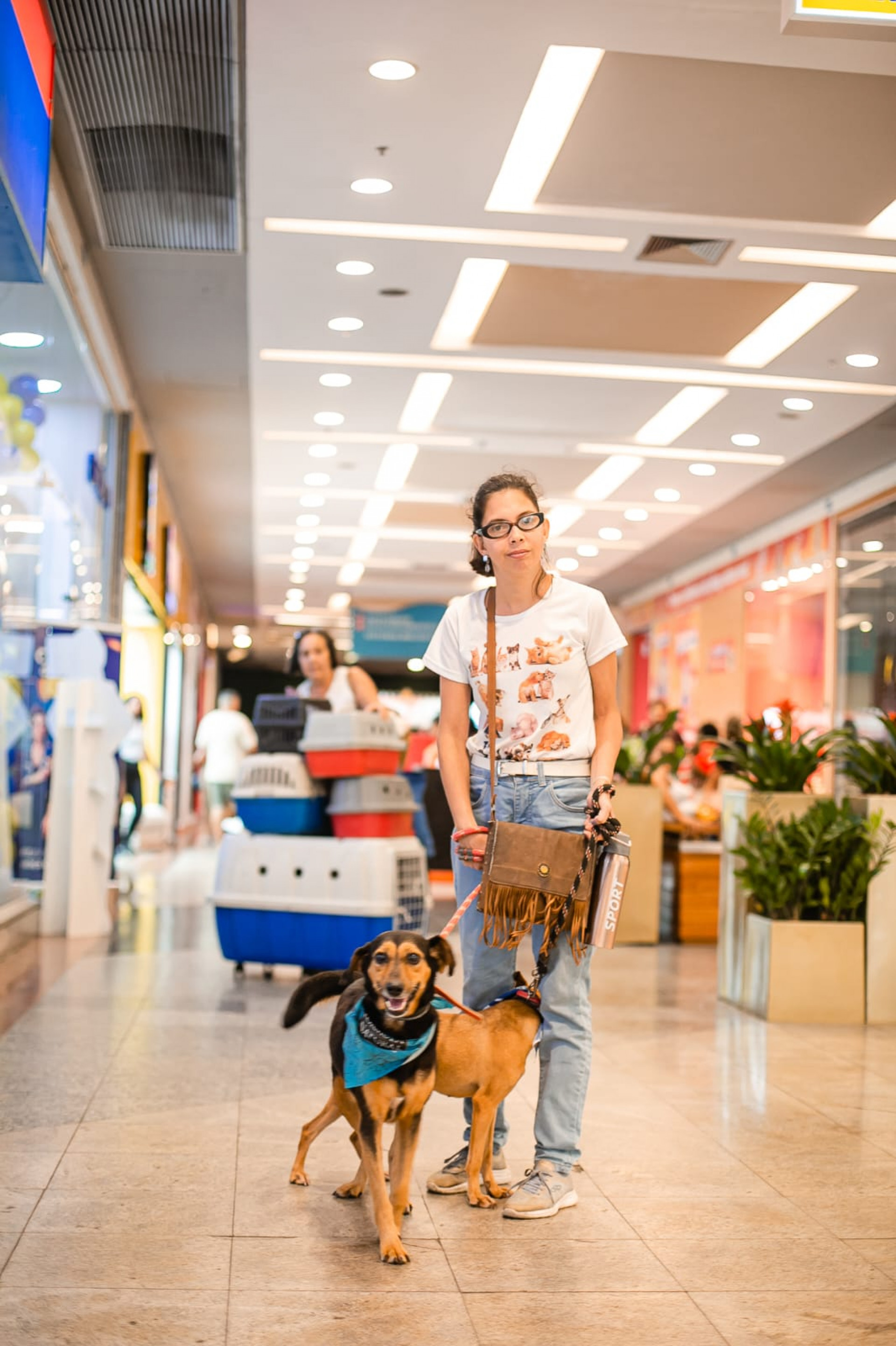 Desfile vai apresentar os animais de forma diferente - Divulgação