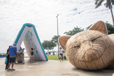 Com livro e gato gigantes, exposição na Praça Mauá destaca importância da adoção de animais