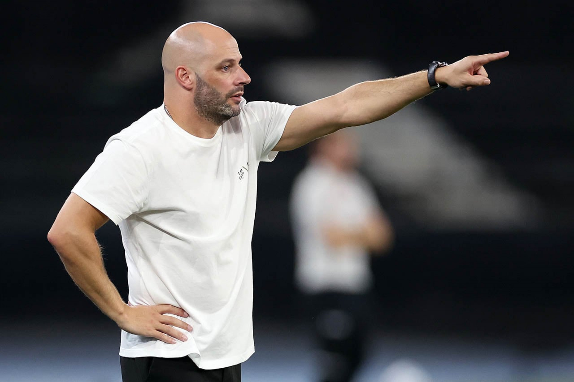 Botafogo x Coritiba: onde assistir, escala&ccedil;&otilde;es e arbitragem