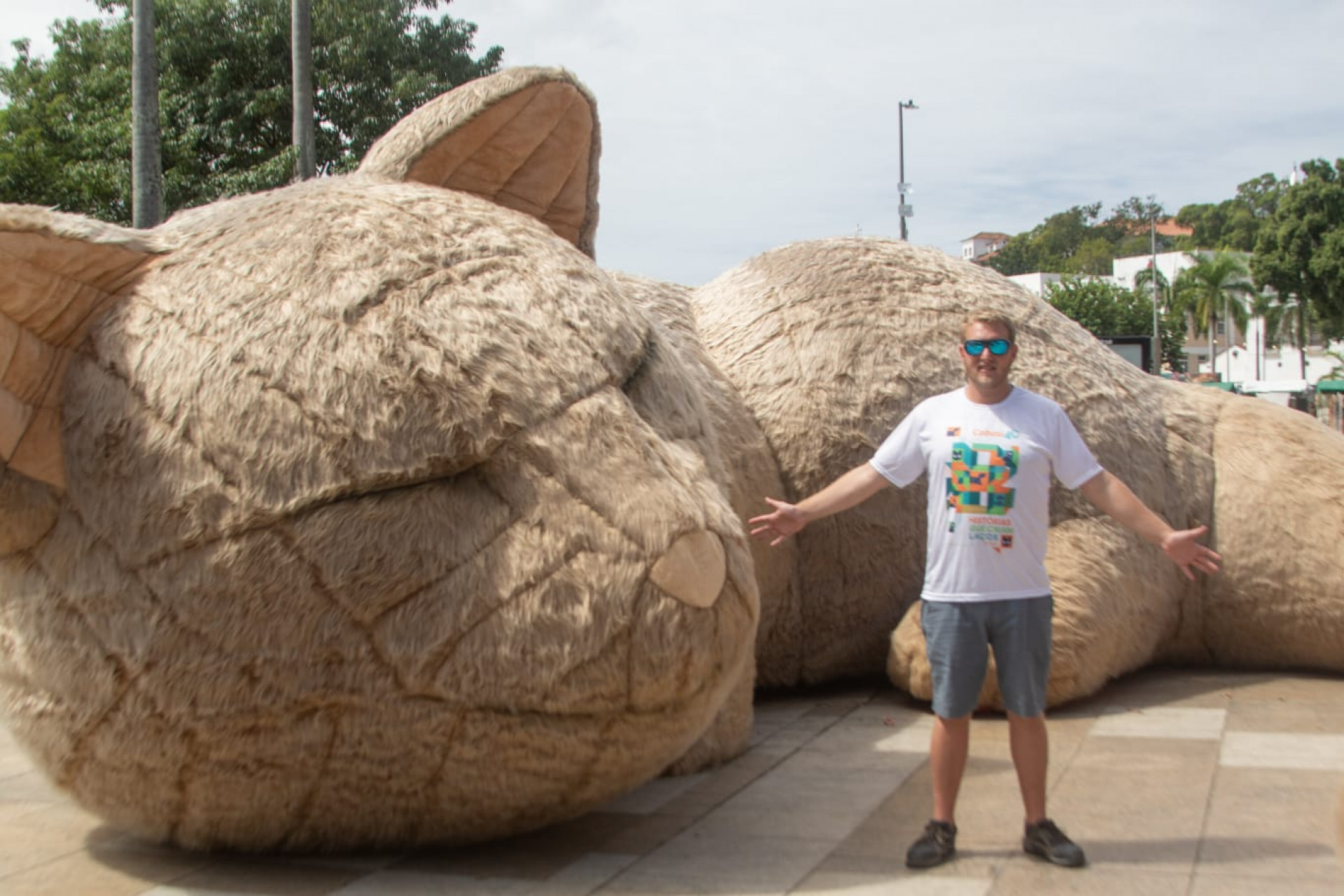 Eduardo Baum é o artista responsável pelas obras gigantes - Érica Martin / Agência O Dia