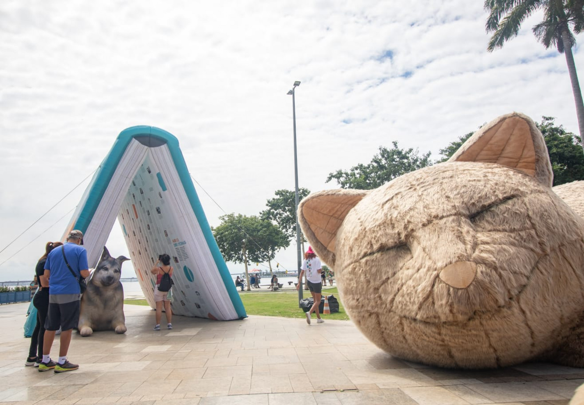 Com livro e gato gigantes, exposição na Praça Mauá destaca importância da adoção de animais