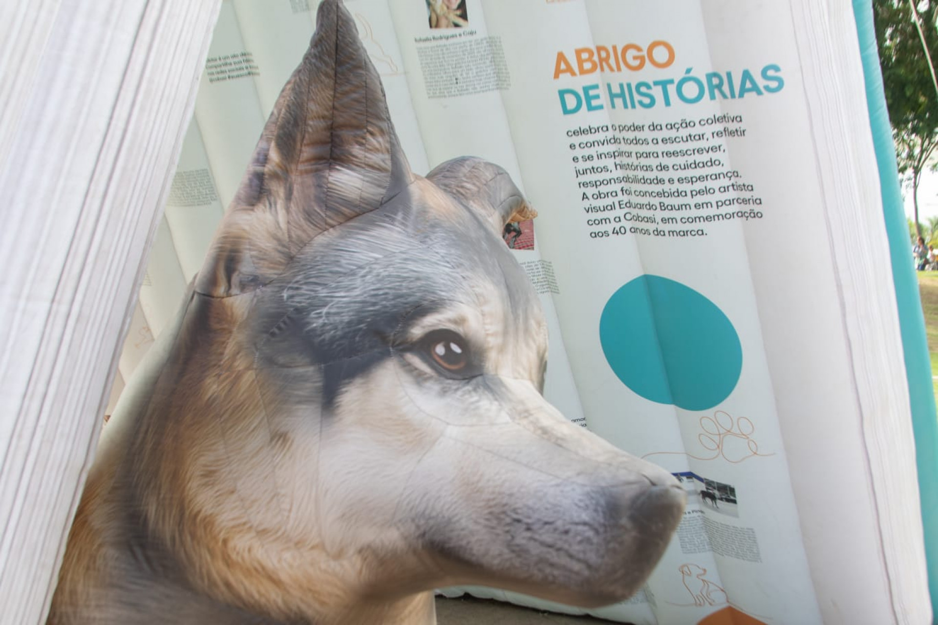 Exposição com obras gigantes e feira de adoção de animais agitam Praça Mauá - Érica Martin / Agência O Dia